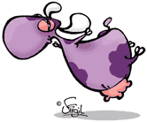 BINTJE SUPER VACHE VERMEULEN